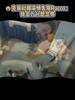 我会万分想念你！克莱社媒深情告别Rocco😭😭